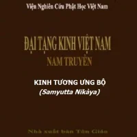 Nikaya - Kinh Tương Ưng Bộ